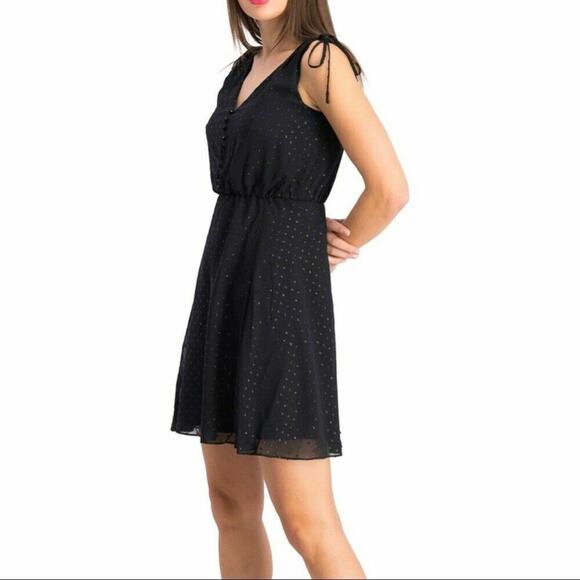 $168 Gal Meets Glam Black Swiss Dot Vneck Elora Fit & Flare Dress 4 NWT - Picture 1 of 9
